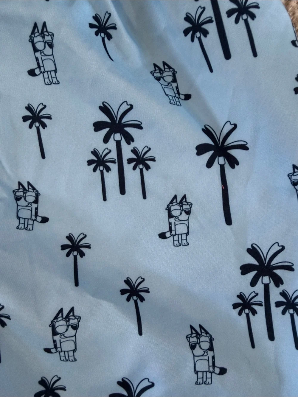 NWT Toddler Boys Bluey Lined Swim Shorts - 3T